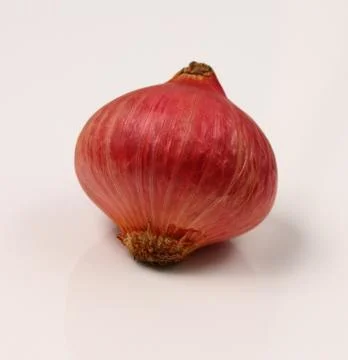 Isolated onion on a white background Stock Photos