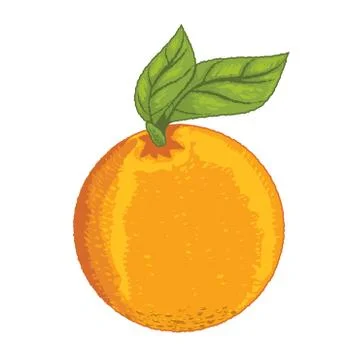 Isolated Orange with leave -Vector Illustration Stock Illustration