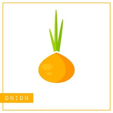 Isolated orange onion memory training card Stock Illustration