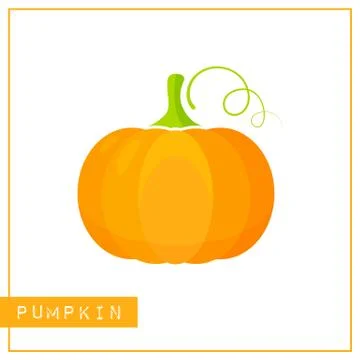 Isolated orange pumpkin memory training card Stock Illustration