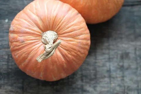 Isolated orange pumpkin Stock Photos