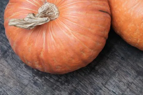 Isolated orange pumpkin Stock Photos