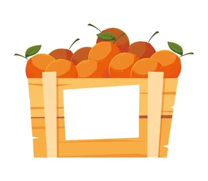 Isolated oranges box fruit vector design Stock Illustration