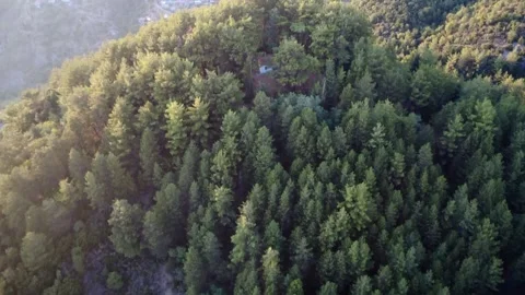 Isolated Orthodox mountain chapel in pine woods with traditional village view Video stock 325221256