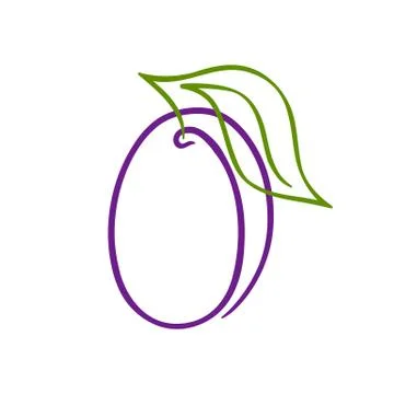 Isolated outline icon of plum with leaf on white background. Line logo of plu Stock Illustration