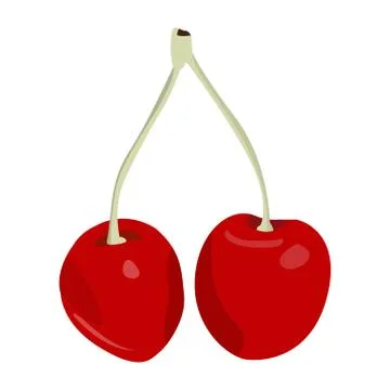 Isolated pair of cherries Ilustração Stock
