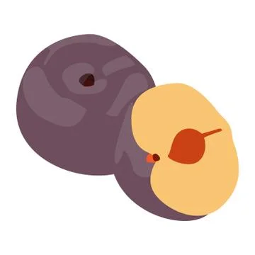 Isolated pair of plums Ilustração Stock