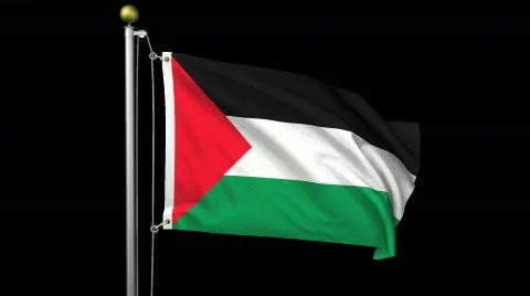 Isolated Palestine Stock Footage 445251