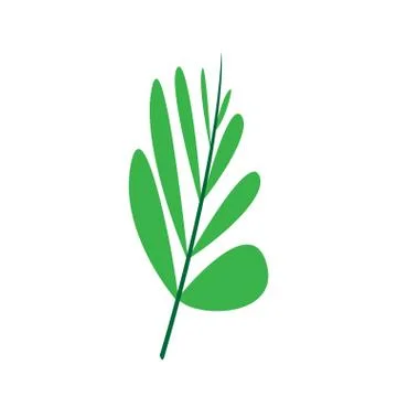 Isolated palm leaf Stock Illustration