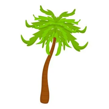 Isolated palm tree 스톡 일러스트
