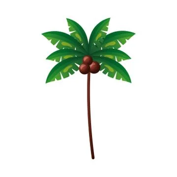 Isolated palm tree vector design 스톡 일러스트