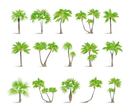 Isolated palms set. Stock Illustration
