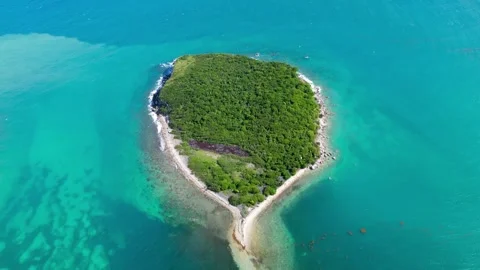 Isolated Paradise: Drone View of Cayo Real's Lush Landscape Stock Footage 281671304