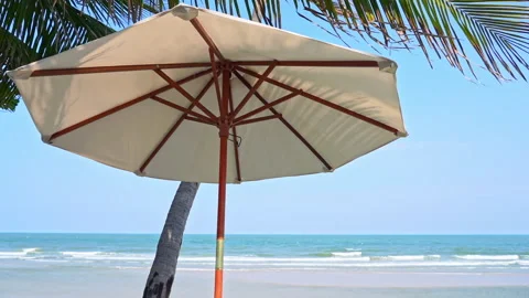 Isolated Parasol under Palm Tree Leaves on Tropical Beach. Static. Stock Footage 153219108