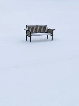 Isolated Park Bench in Endless White Snow High Key Winter Landscape Foto stock