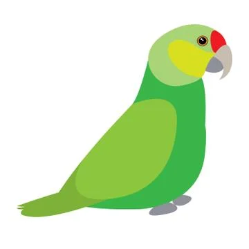 Isolated parrot Stock Illustration