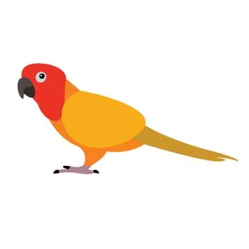 Isolated parrot Stock Illustration