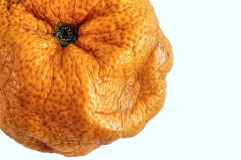 Isolated Partial Old Orange Stock Photos