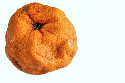 Isolated Partial Old Orange Stock Photos