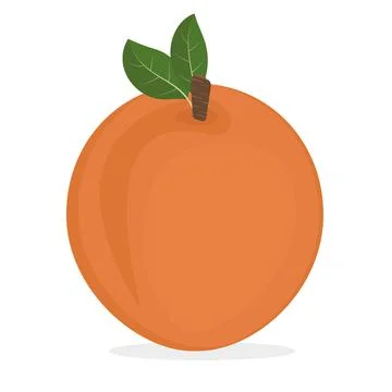 Isolated Peach fruit, color vector illustration on a white background Stock Illustration