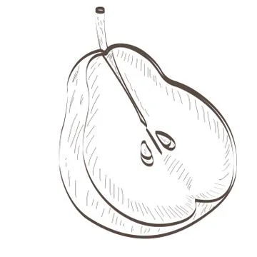 Isolated pear cut outline Stock Illustration