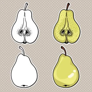 Isolated pears. Graphic stylized drawing. Vector illustration. Stock Illustration