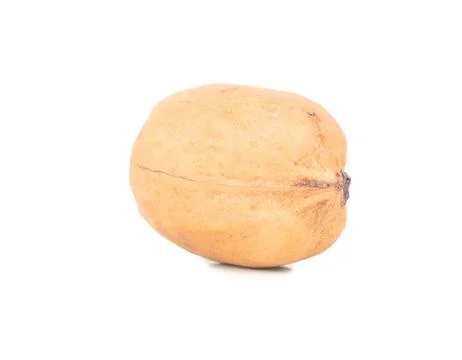 Isolated pecan nut Stock Photos