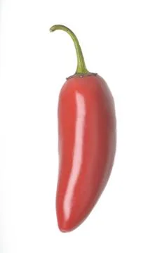 Isolated pepper Stock Photos