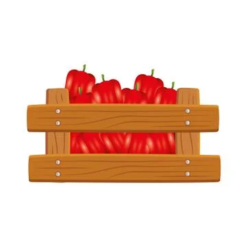 Isolated peppers inside box vector design Illustrazione stock
