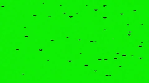 Isolated photo element on chroma key green screen background with natural Video stock 337047586
