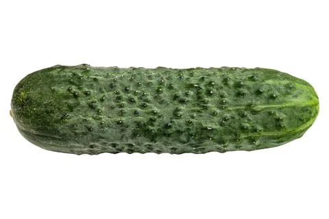 Isolated pickling cucumber vegetable macro texture detail on white background Stock Photos