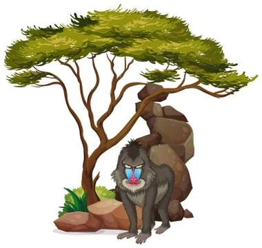 Isolated picture of baboon under the tree Stock Illustration