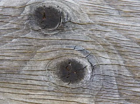 Isolated picture with the beautiful pattern of the old wooden wall Stock Photos