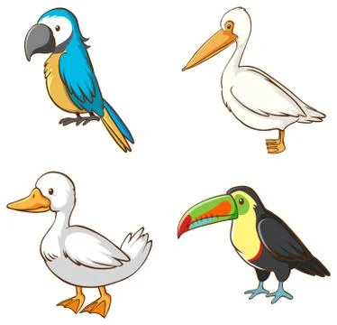 Isolated picture of different birds Illustrazione stock