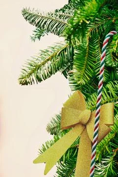 Isolated pine christmas tree branches and needles Stock Photos