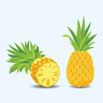 Isolated Pineapple Fruit illustration EPS Vector Stock Illustration