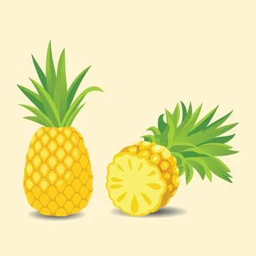 Isolated Pineapple Fruit illustration EPS Vector Stock Illustration