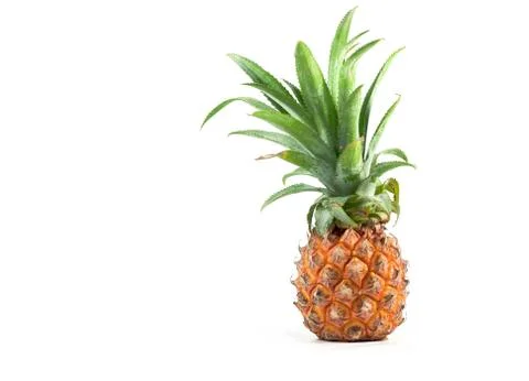 The Isolated of pineapple fruit on white background. copy space for designer Stock Photos