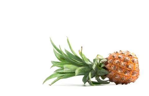 The Isolated of pineapple fruit on white background. copy space for designer Stock Photos