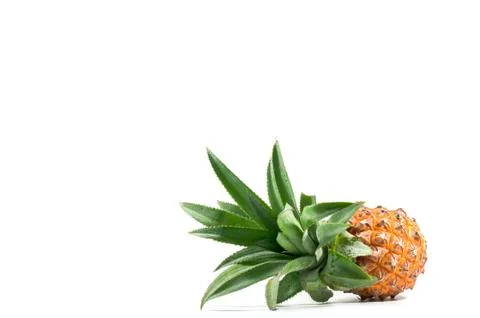 The Isolated of pineapple fruit on white background. copy space for designer Stock Photos