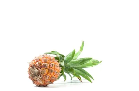 The Isolated of pineapple fruit on white background. copy space for designer Stock Photos