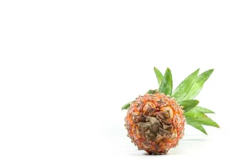 The Isolated of pineapple fruit on white background. copy space for designer Stock Photos