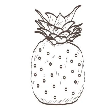 Isolated pineapple outline Stock Illustration