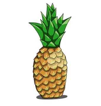 Isolated pineapple on white background Stock Illustration