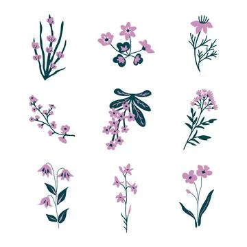 Isolated pink flowers Stock Illustration