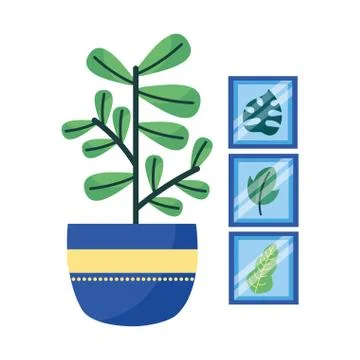 Isolated plant and frames vector design Stock Illustration