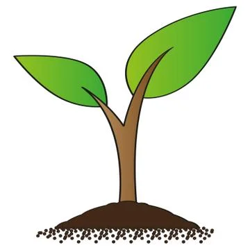 Isolated plant icon Stock Illustration