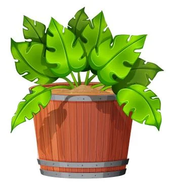 Isolated plant in pot 库存插图