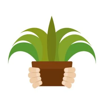 Isolated plant sow Stock Illustration