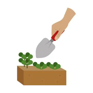 Isolated plant sow Stock Illustration